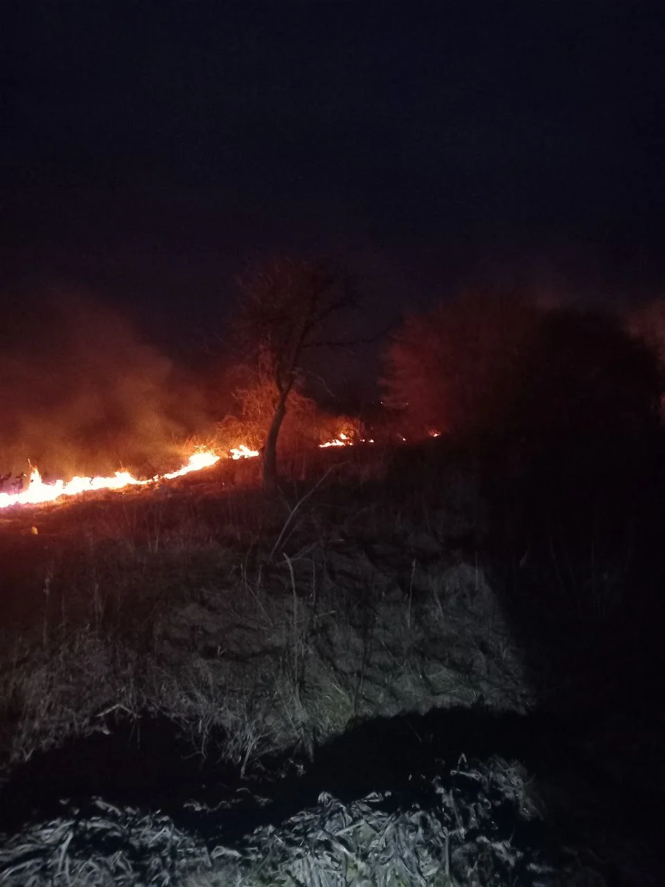 На Переяславщині горів трав’яний настил (фото)
