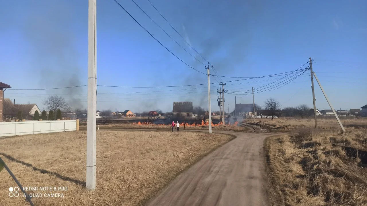 загорання трав'яного настилу в Переяславі