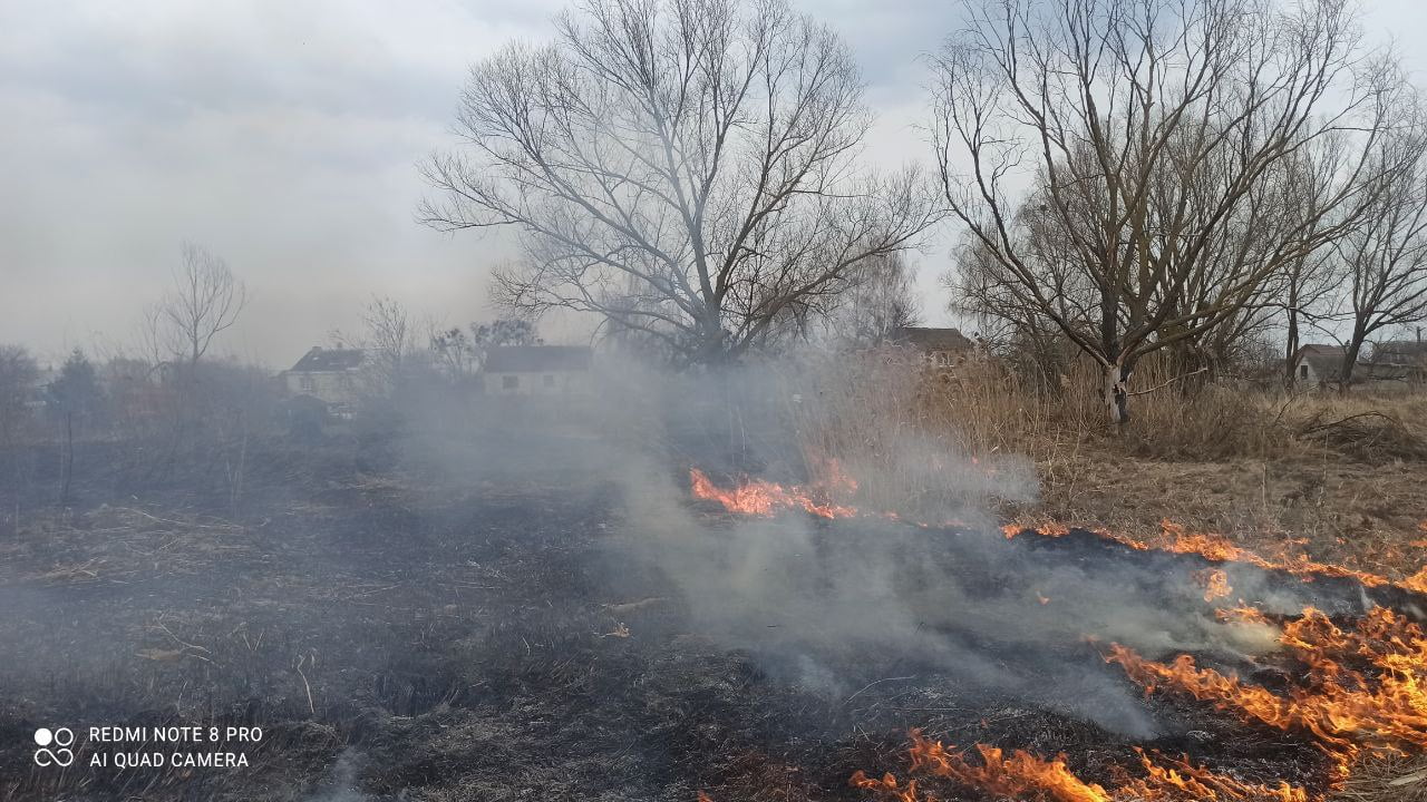 За минулу добу переяславські рятувальники тричі виїжджали для гасіння трав'яного настилу (фото)