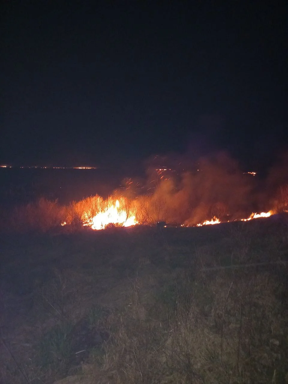Переяславські пожежники продовжують ліквідовувати загорання сухої трави.