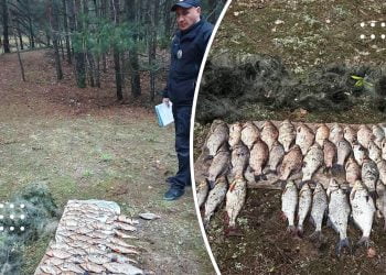 На Канівському водосховищі спіймали браконьєрів, які вловили риби на понад 100 тисяч гривень: розпочато досудове розслідування