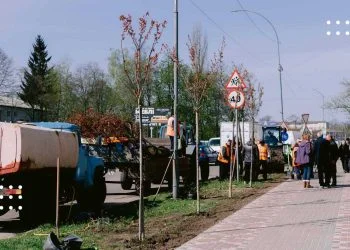 Законність придбання сакур у Переяславі: звернення депутата до поліції та офіційна відповідь міського голови