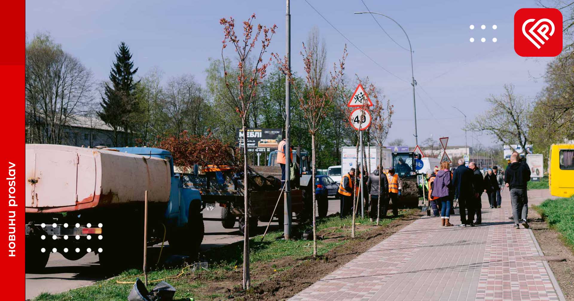 Законність придбання сакур у Переяславі: звернення депутата до поліції та офіційна відповідь міського голови