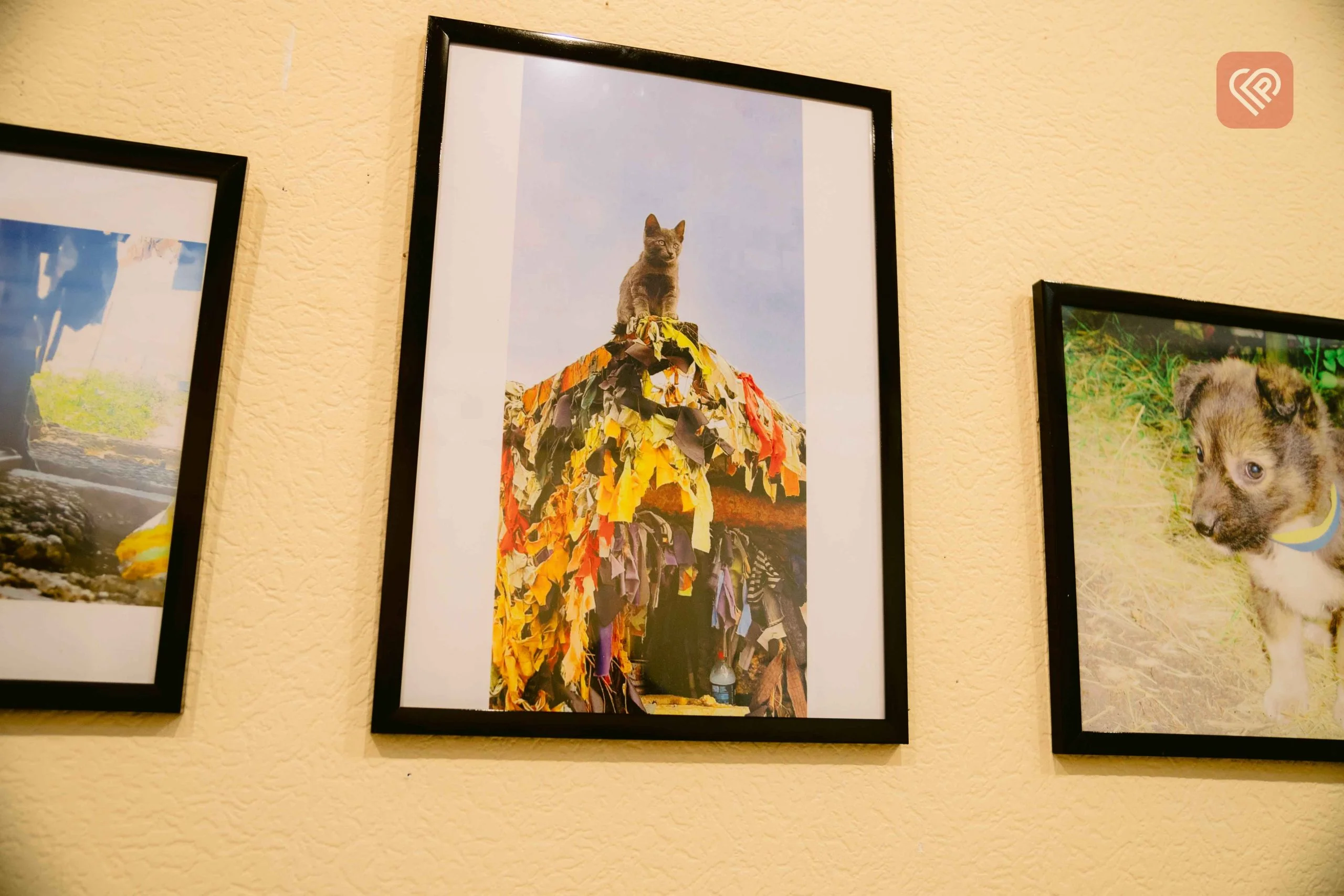 У Переяславі до 26 квітня експонуватимуть фотовиставку «С#ка війна»: відвідавши її ви можете допомогти нашим захисникам (фоторепортаж з відкриття)