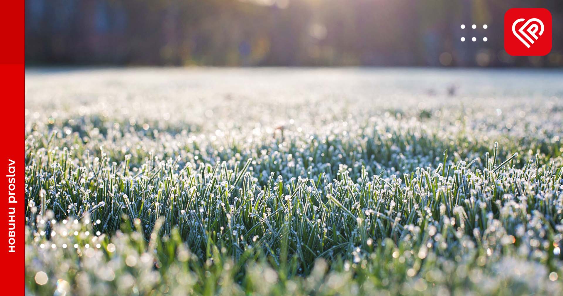 Цього тижня на Київщині очікуються заморозки – Укргідрометцентр