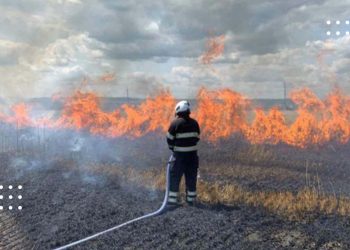 На Київщині зберігається надзвичайний рівень пожежної небезпеки