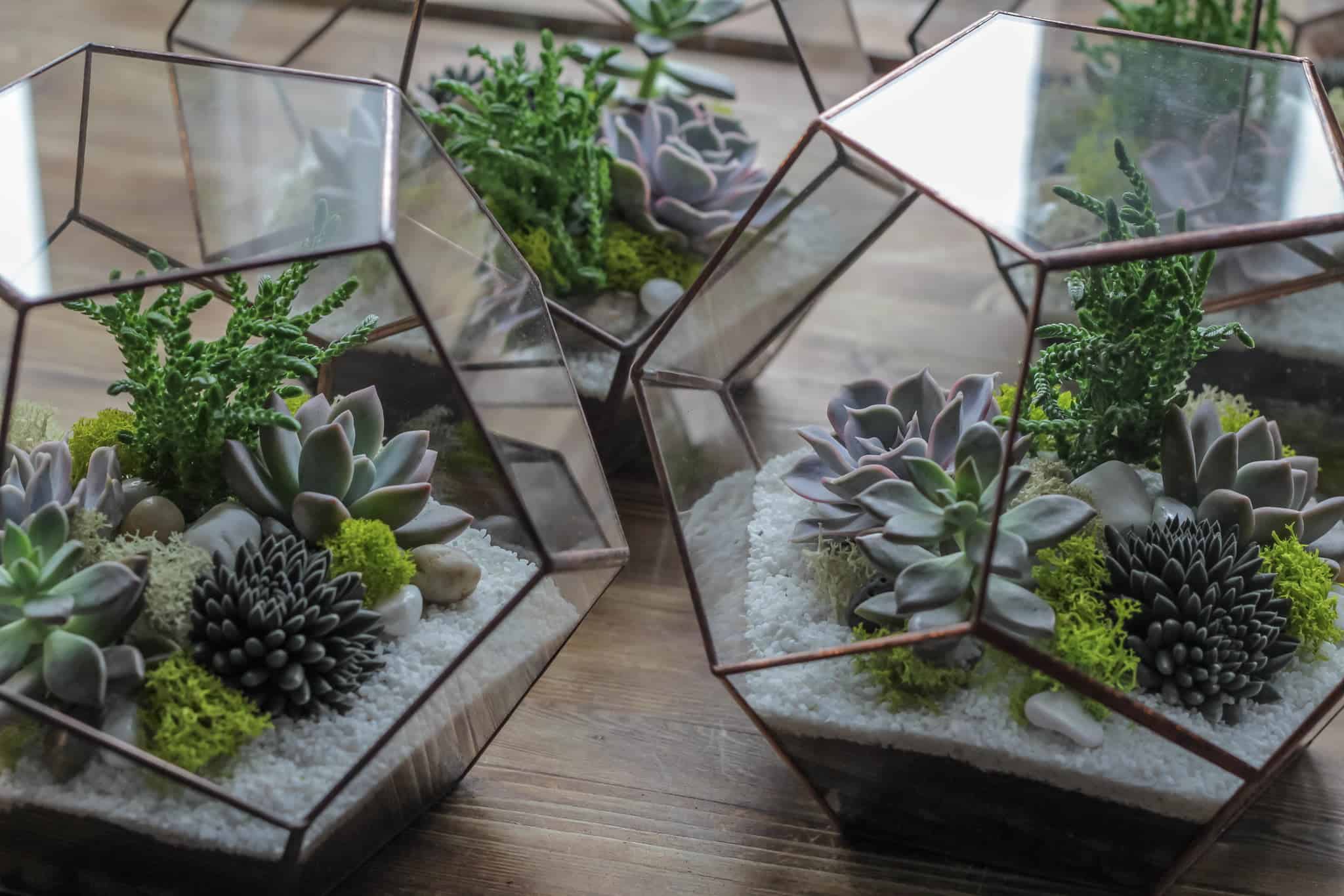 Що подарувати мамі на День матері: ідеї від Proslav на будь-який смак та бюджет