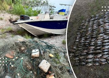 Штраф на півмільйона гривень: на Канівському водосховищі виявлено браконьєра, що ловив рибу під час нересту