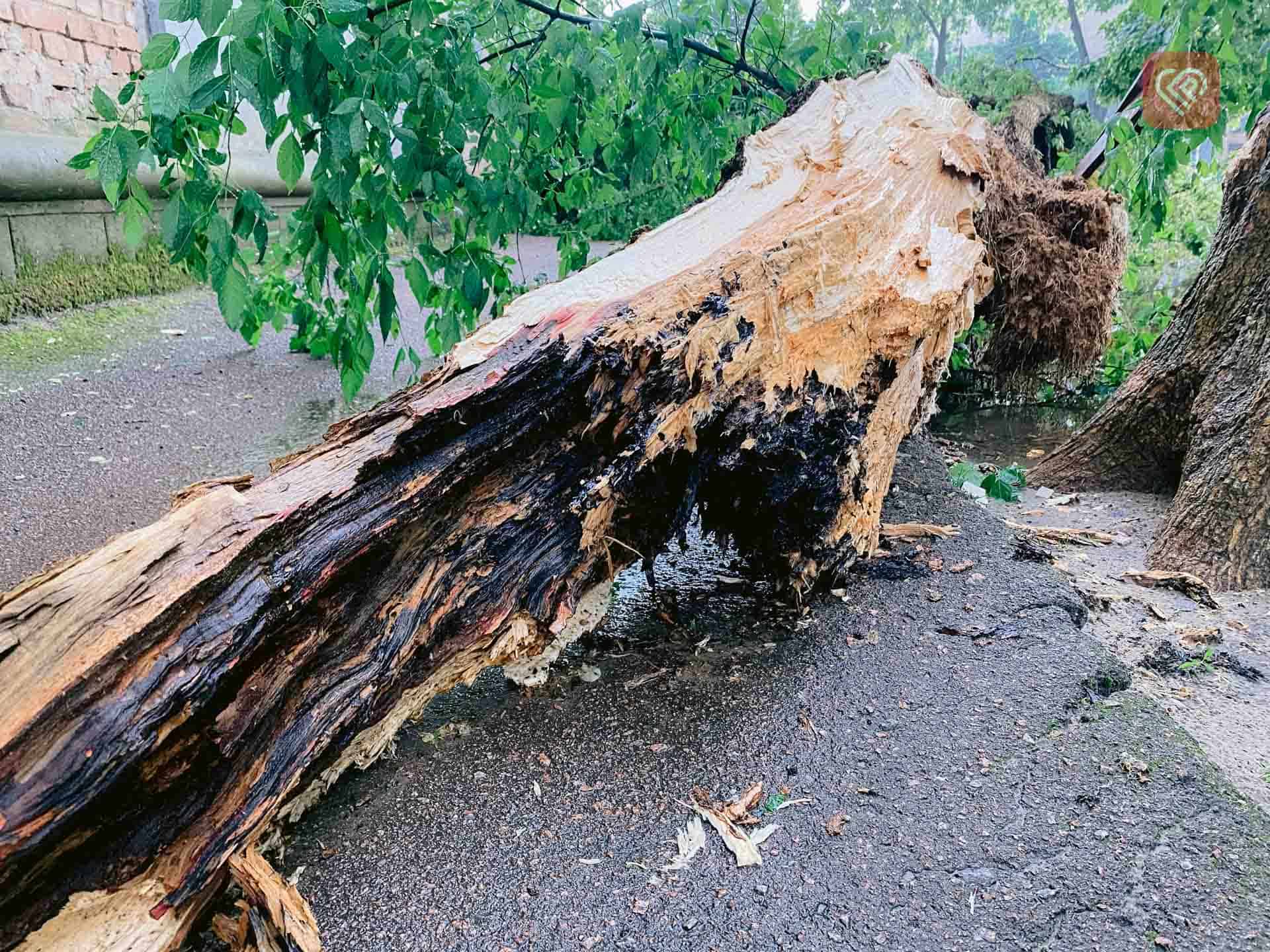 Наслідки негоди у Переяславі (фото та відео)