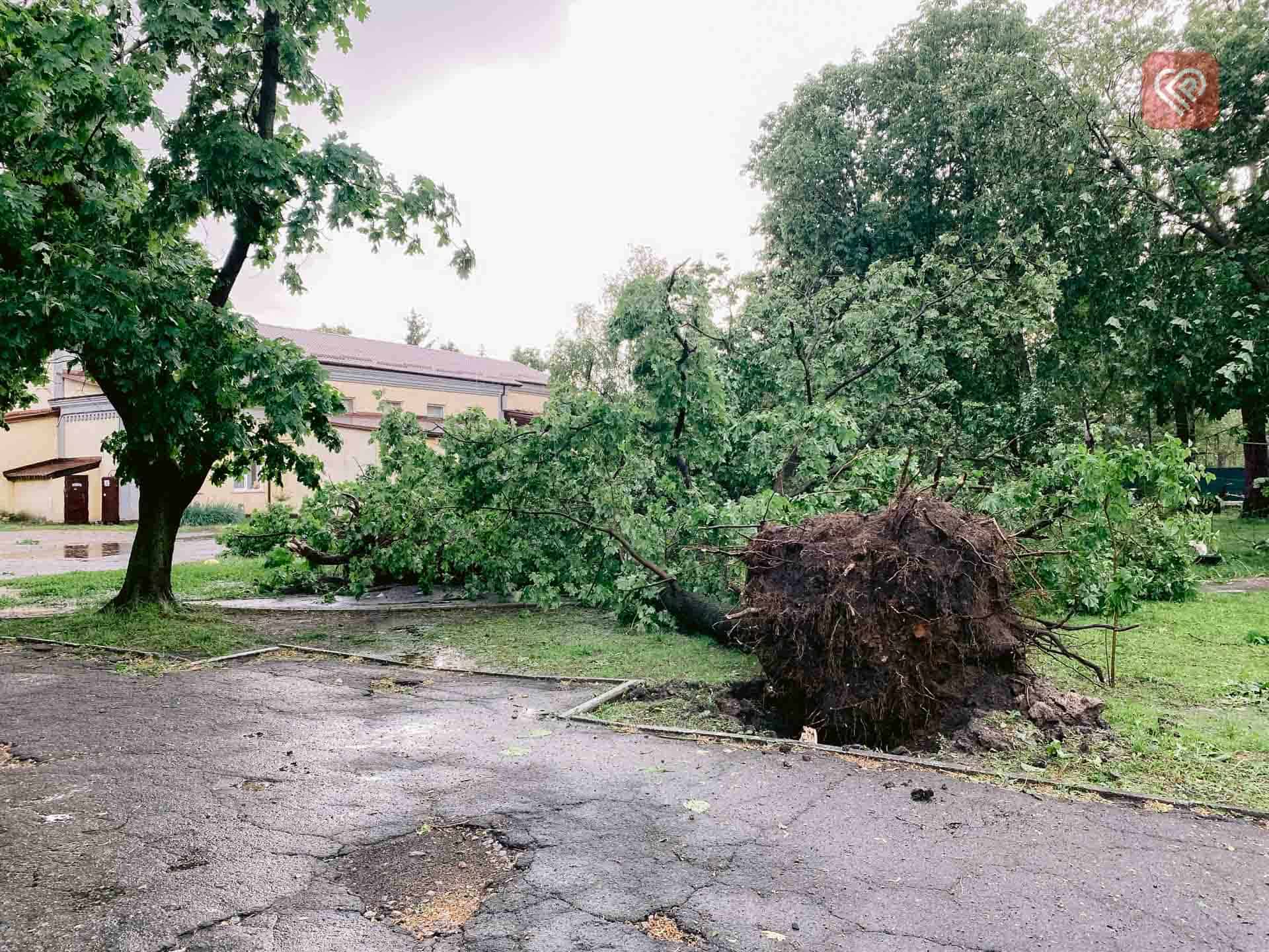 Наслідки негоди у Переяславі (фото та відео)