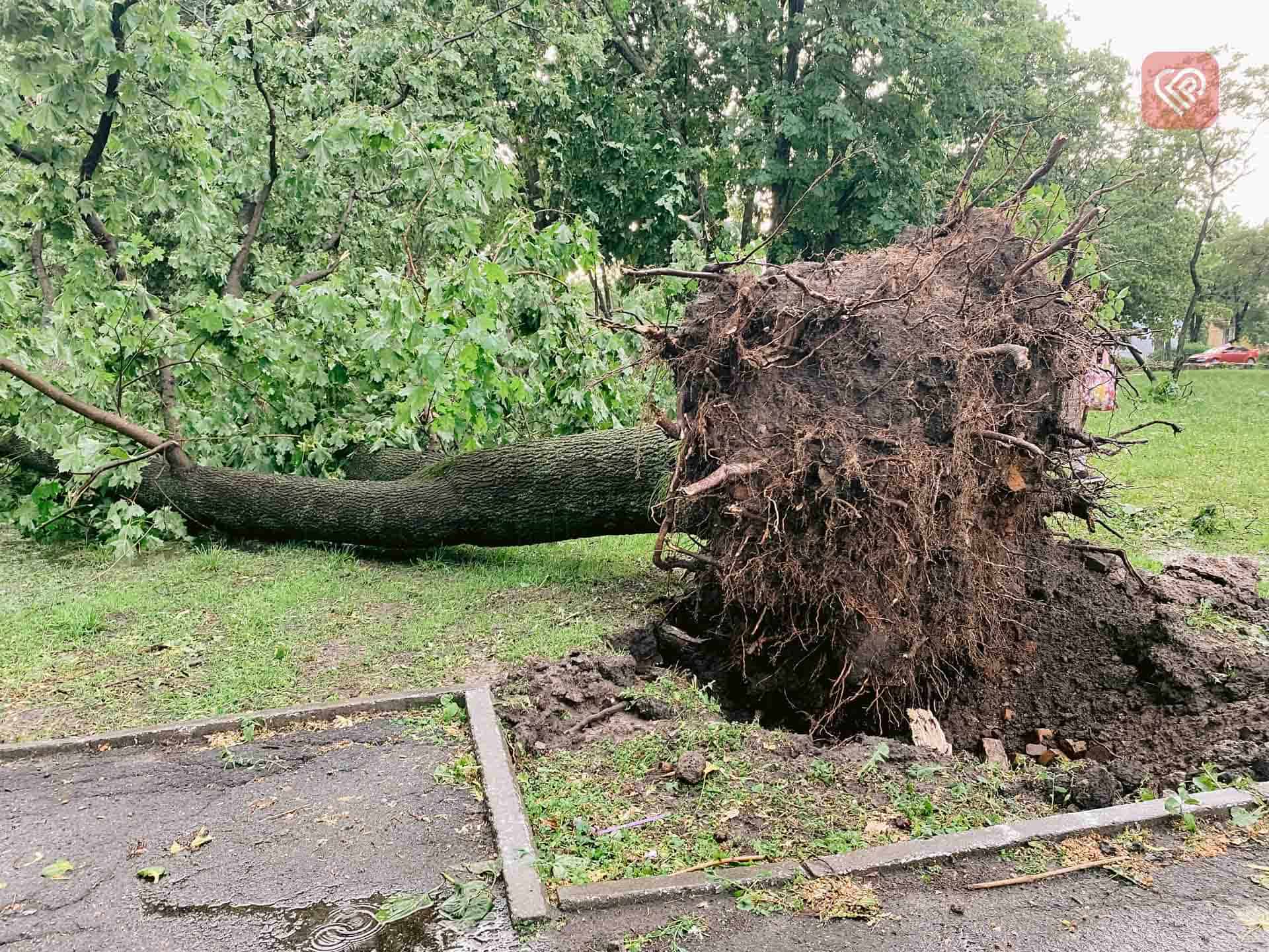 Наслідки негоди у Переяславі (фото та відео)