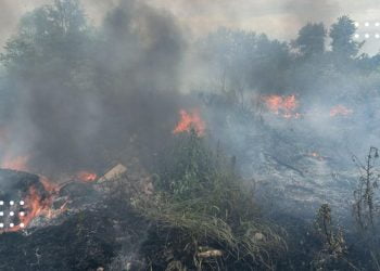 Переяславські пожежники допомогли подолати пожежу у Броварському районі