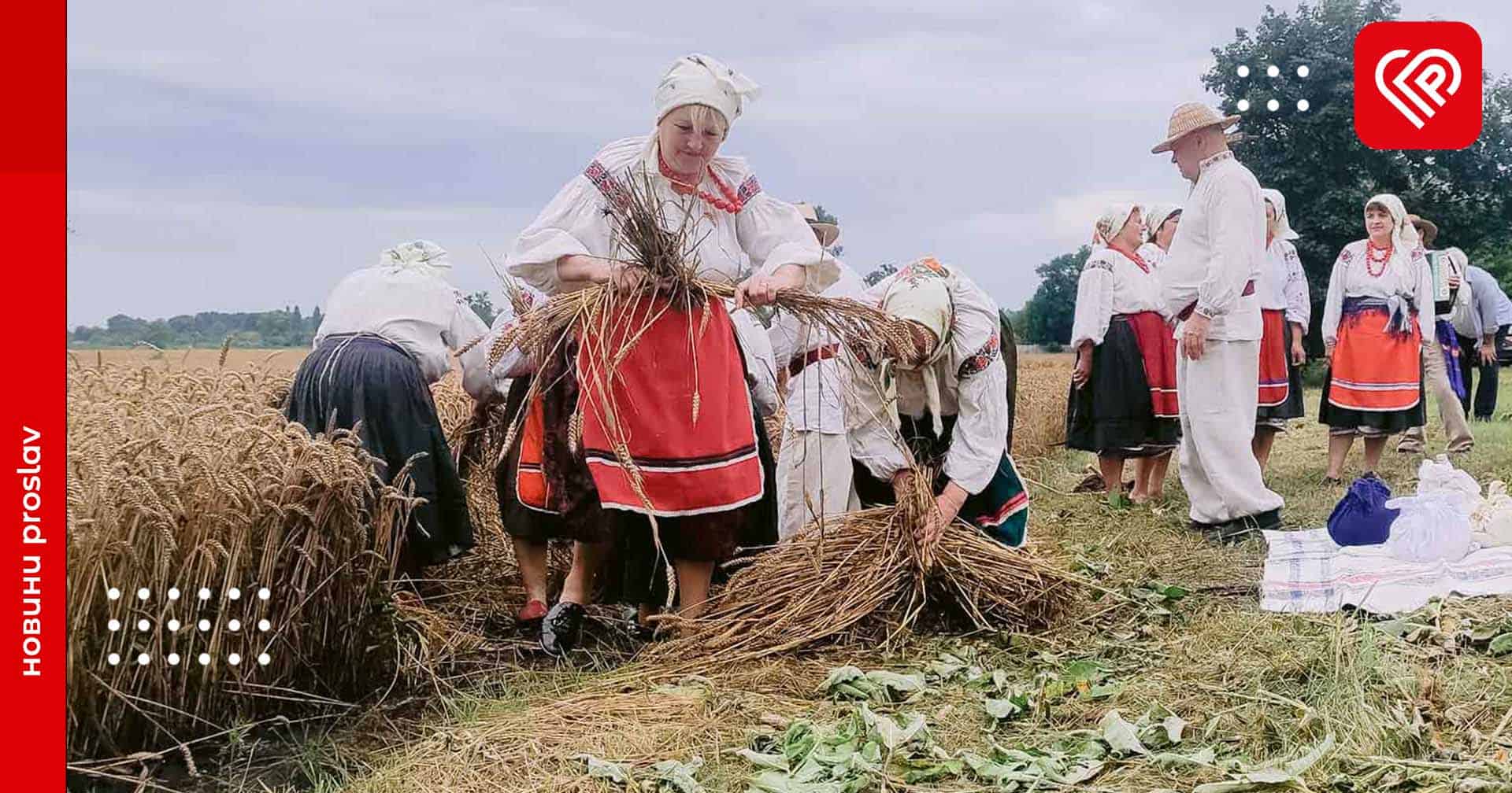 На Переяславщині вчетверте відтворили обряд зажинків: як це було та хто з зірок долучився