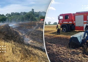 На Переяславщині виникла пожежа на пшеничному полі: фото та відео з місця події