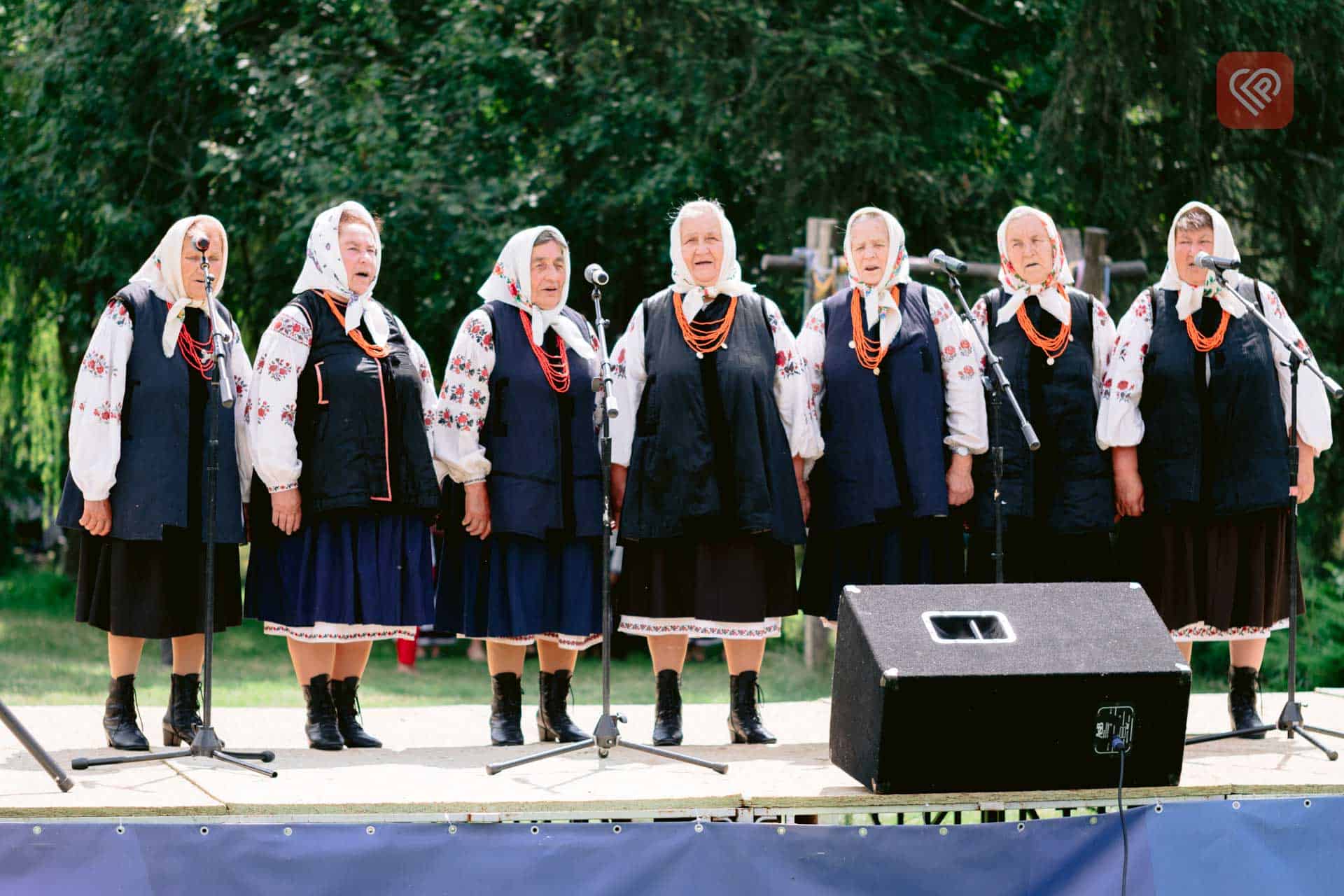 У музеї під відкритим небом в Переяславі влаштували етнографічну толоку та культурно-мистецьку акцію «ФолькКрай»: фото та відео