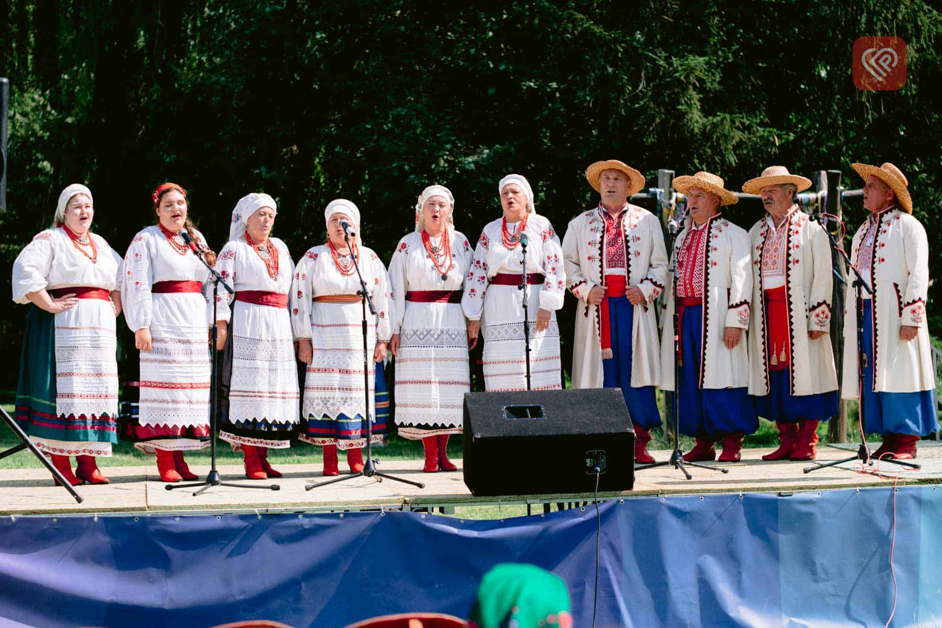 У музеї під відкритим небом в Переяславі влаштували етнографічну толоку та культурно-мистецьку акцію «ФолькКрай»: фото та відео