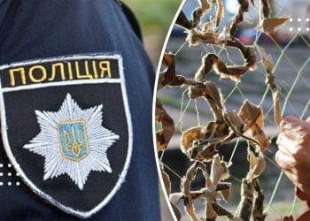 На Переяславщині жінка зв’язала маскувальну сітку й просила передати її на фронт – дайджест подій від правоохоронців за минулу добу
