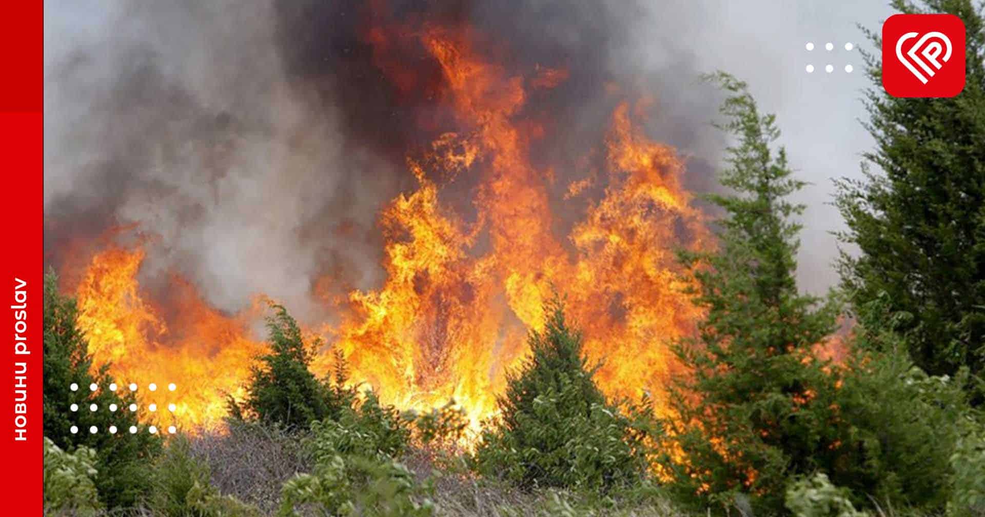 На Київщині вчергове оголосили про підвищений рівень пожежної небезпеки