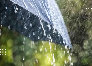 На Переяславщині 7 серпня очікуються короткочасні дощі з грозами – Укргідрометцентр