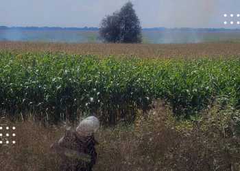 Поблизу села Єрківці загорілося сміття: пожежу оперативно ліквідували