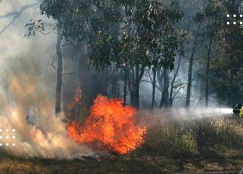 22-24 серпня на Київщині зберігатиметься надзвичайний рівень пожежної небезпеки – УкрГМЦ