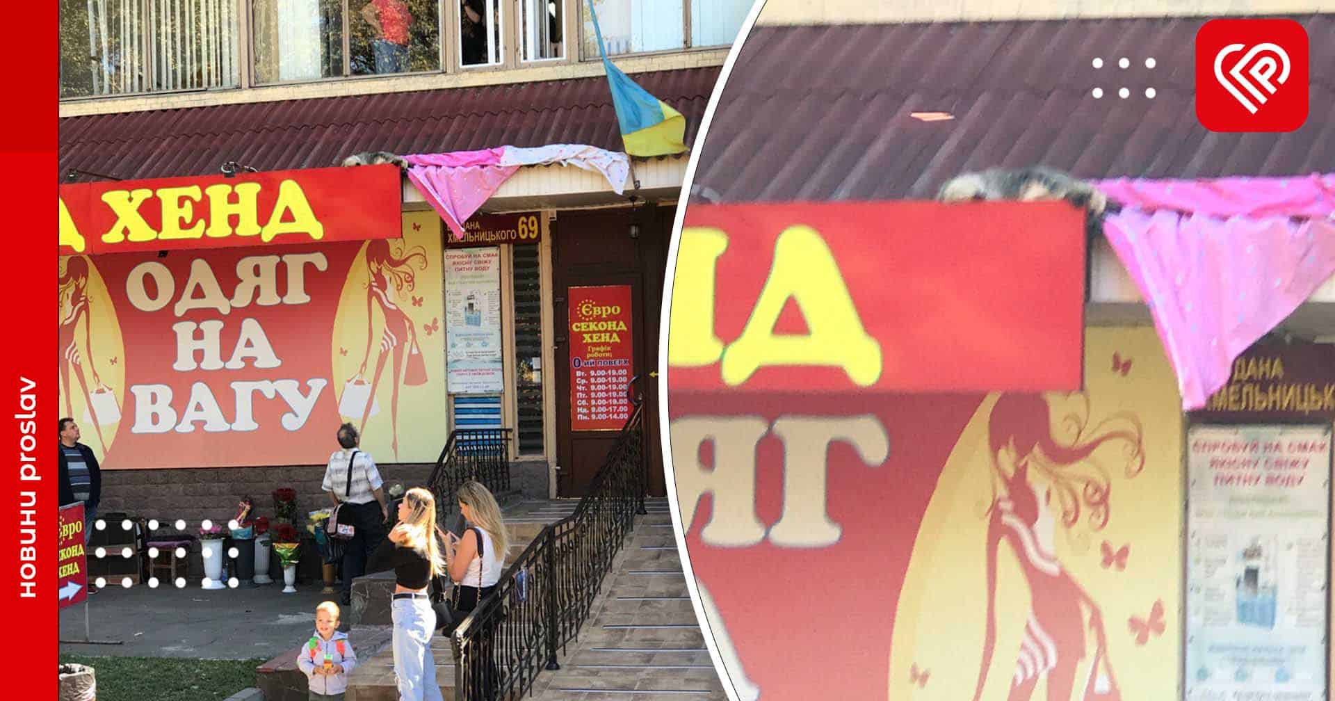 У центрі Переяслава собака заліз на дах будівлі: як його рятували