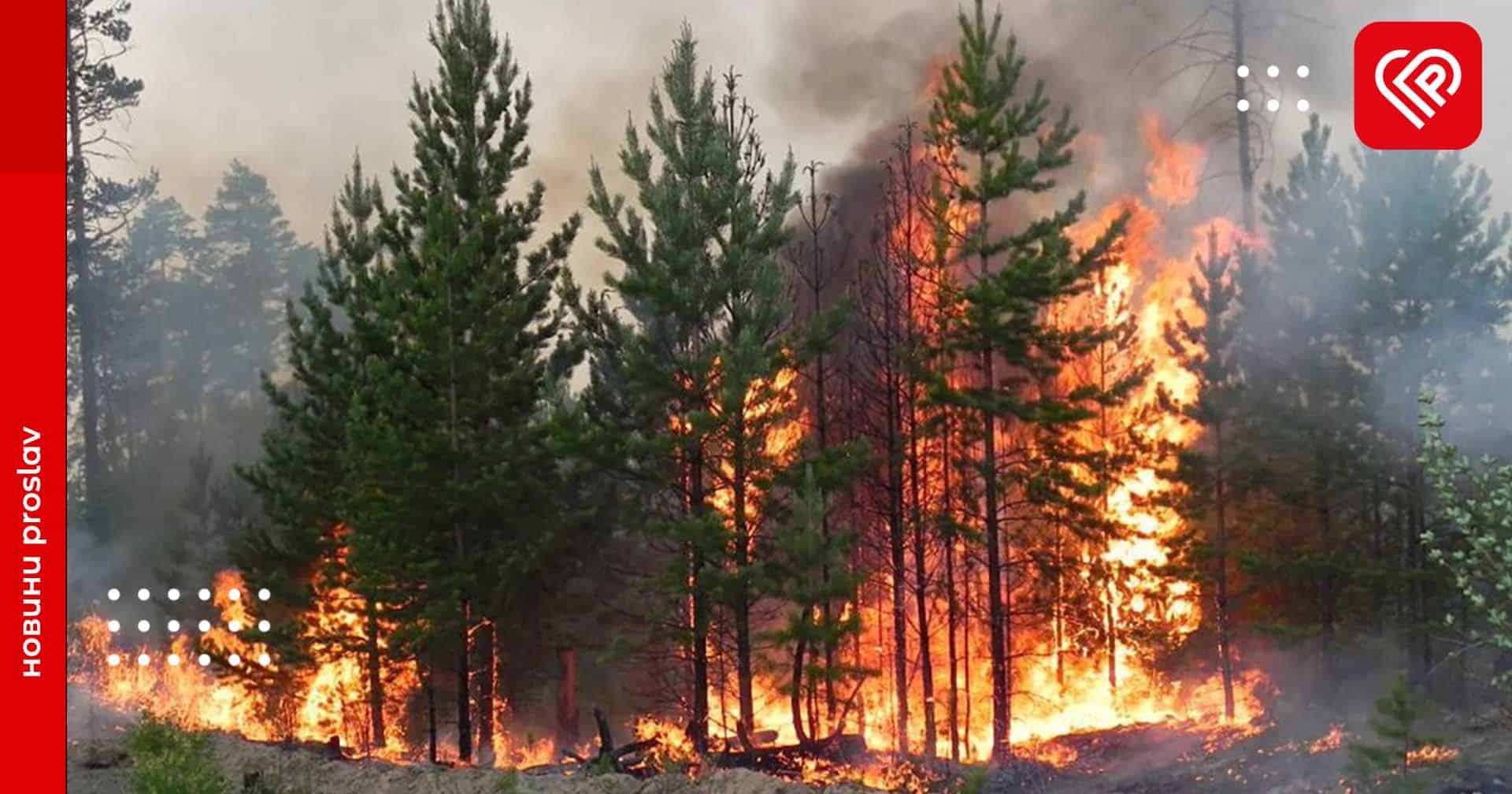 Синоптики попереджають про високий рівень пожежної небезпеки на Київщині