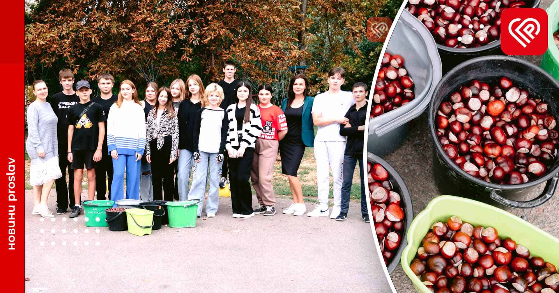 Навіть каштани можуть допомогти ЗСУ: переяславські старшокласники започаткували акцію