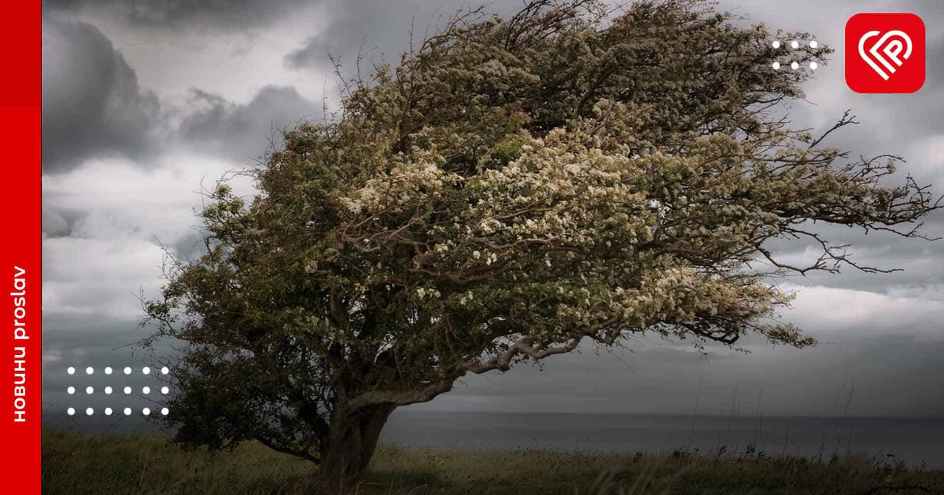 Через негоду жителі Київської області залишилися без світла