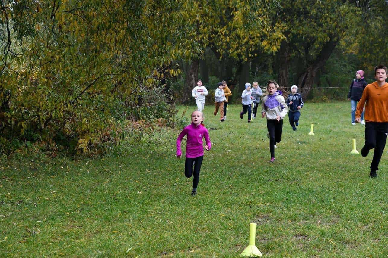 Переяславські спортсмени зайняли призові місця на відкритому Кубку Бориспільської МТГ
