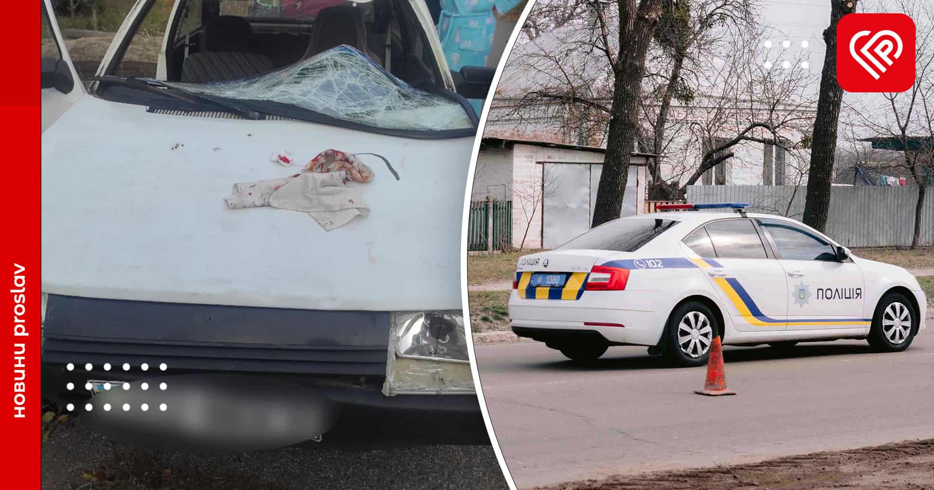 На Переяславщині чоловік на смерть збив жінку, її онук отримав численні тілесні ушкодження – дайджест поліції