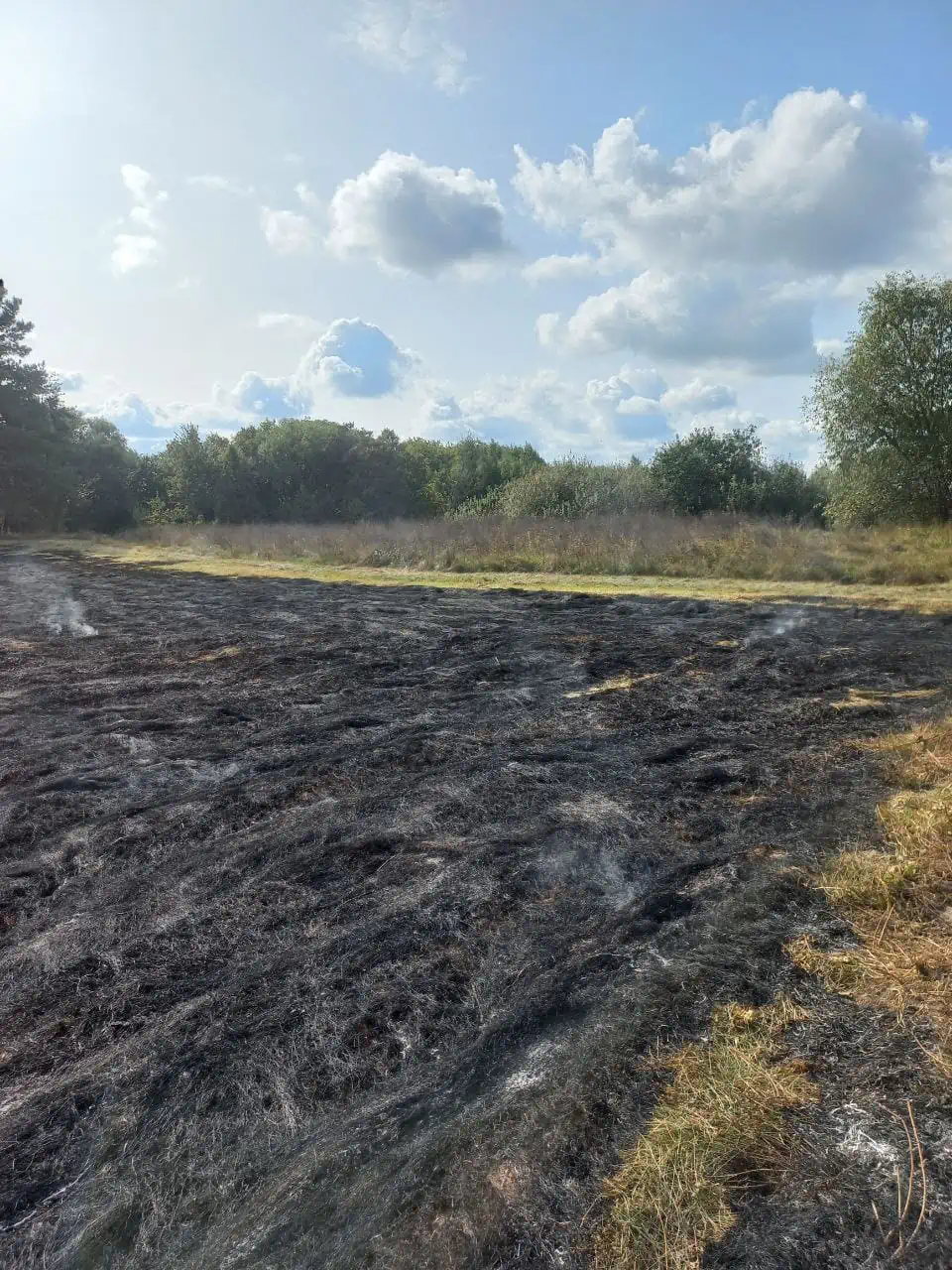 На Переяславщині місцеві жителі самотужки ліквідували дві пожежі: у Помоклях і Стовп'ягах горів трав'яний настил