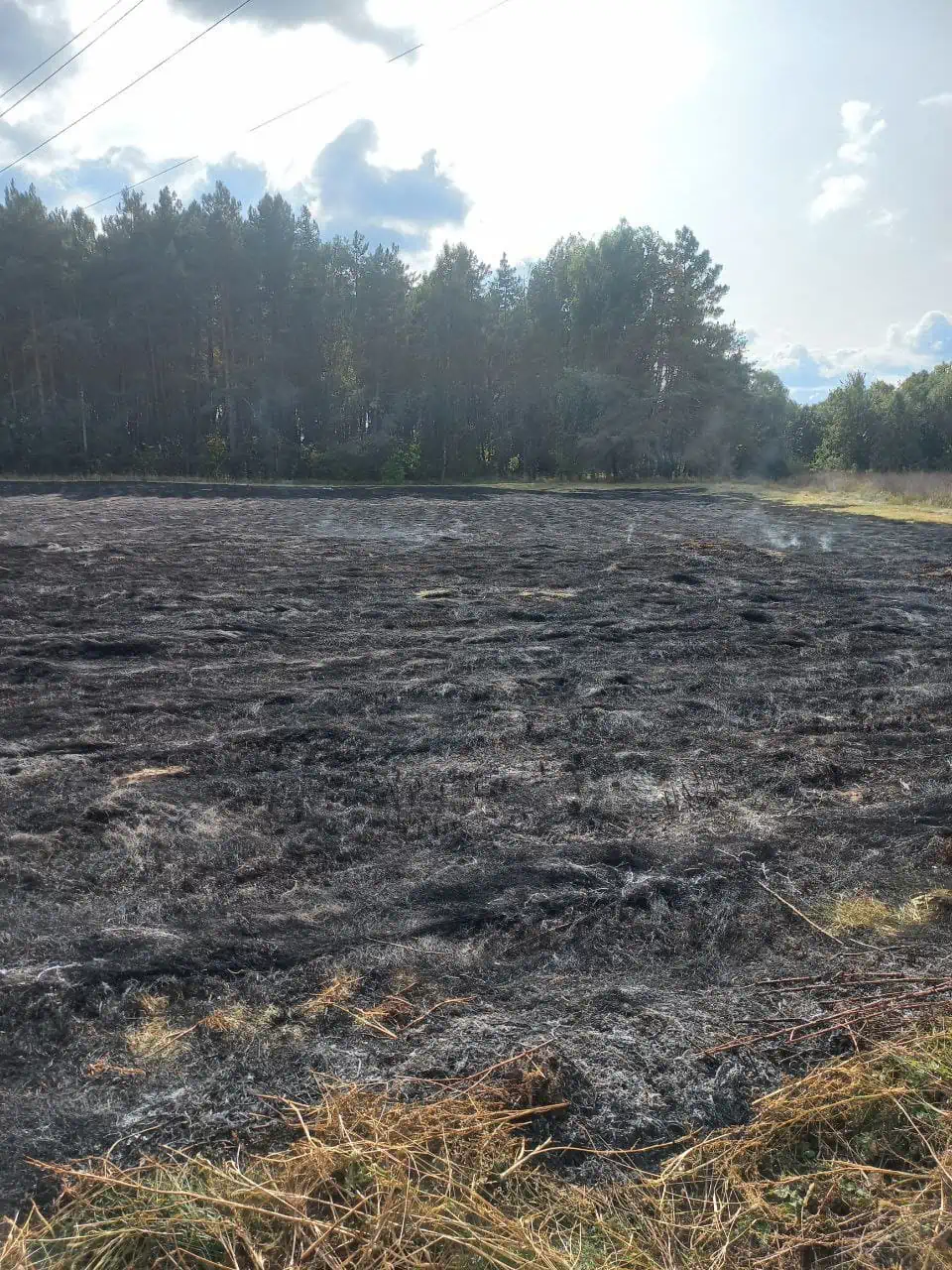 На Переяславщині місцеві жителі самотужки ліквідували дві пожежі: у Помоклях і Стовп'ягах горів трав'яний настил