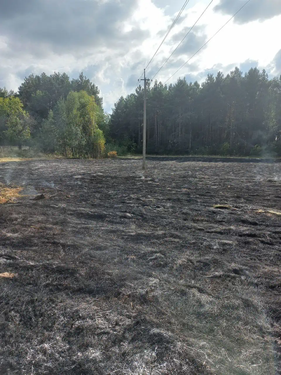 На Переяславщині місцеві жителі самотужки ліквідували дві пожежі: у Помоклях і Стовп'ягах горів трав'яний настил