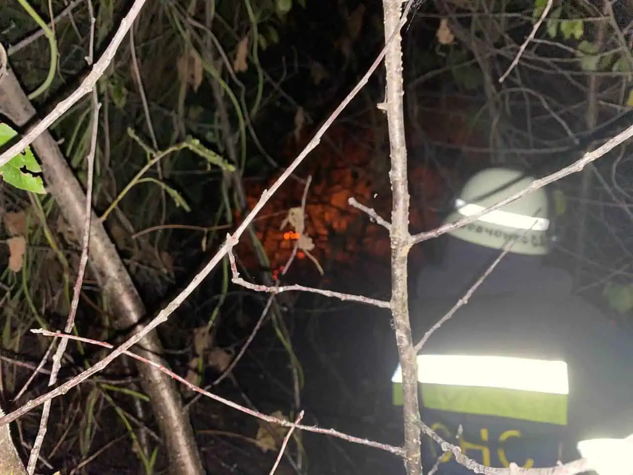 У четвер на Переяславщині сталась низка пожеж: у населених пунктах горів трав'яний настил й була загроза будівлям ферми