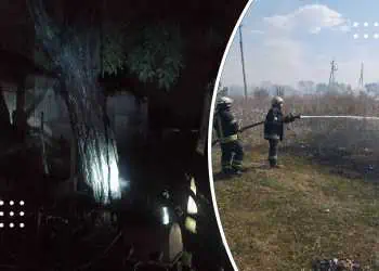 Вночі на Переяславщині загорілося 15-метрове дерево та суха трава