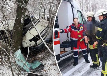 На Переяславщині автомобіль врізався в дерево: постраждалих юнаків деблокували рятувальники (фото та відео)