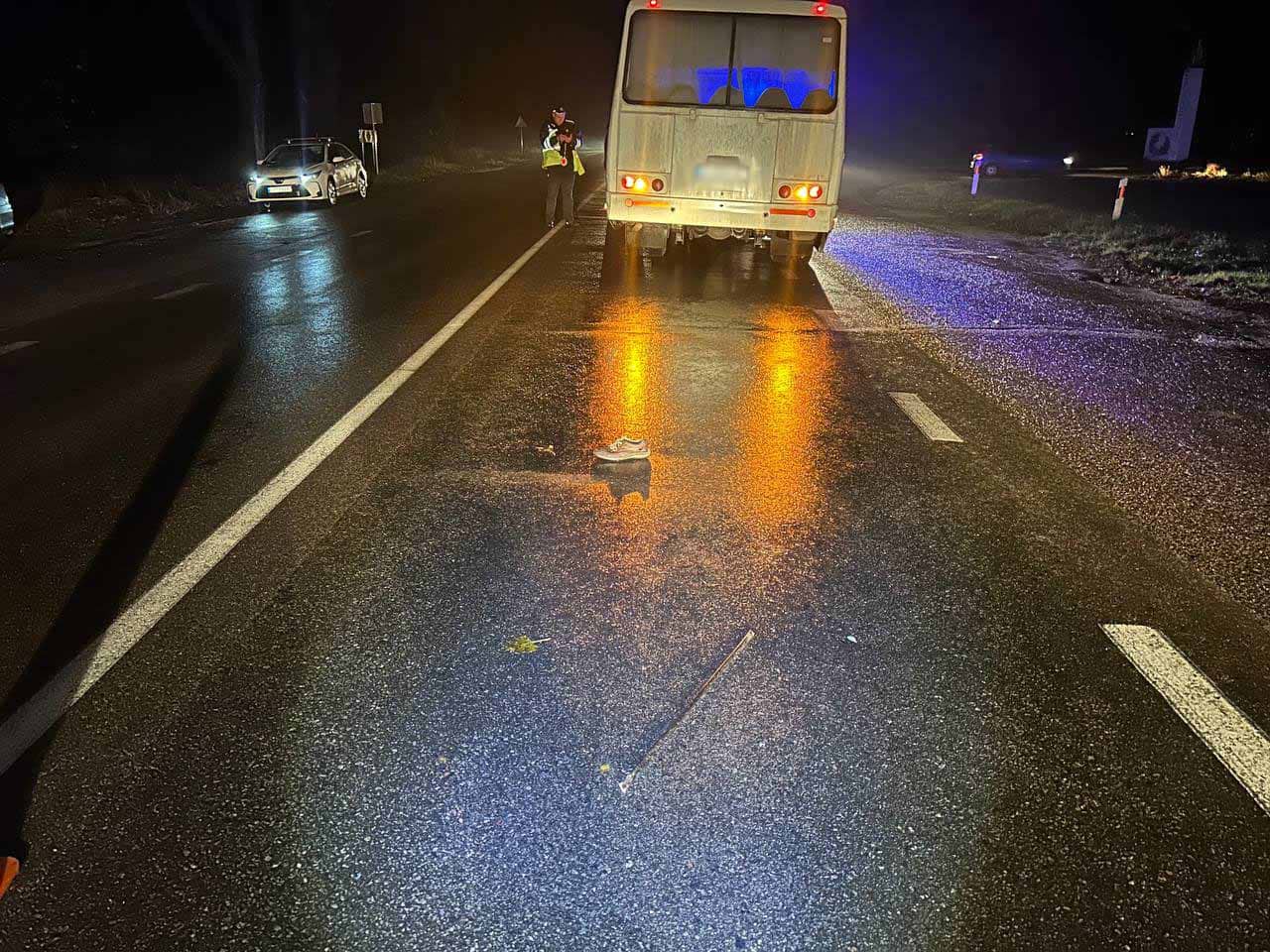 Поблизу Переяслава автобус на смерть збив пішохода – дайджест поліції