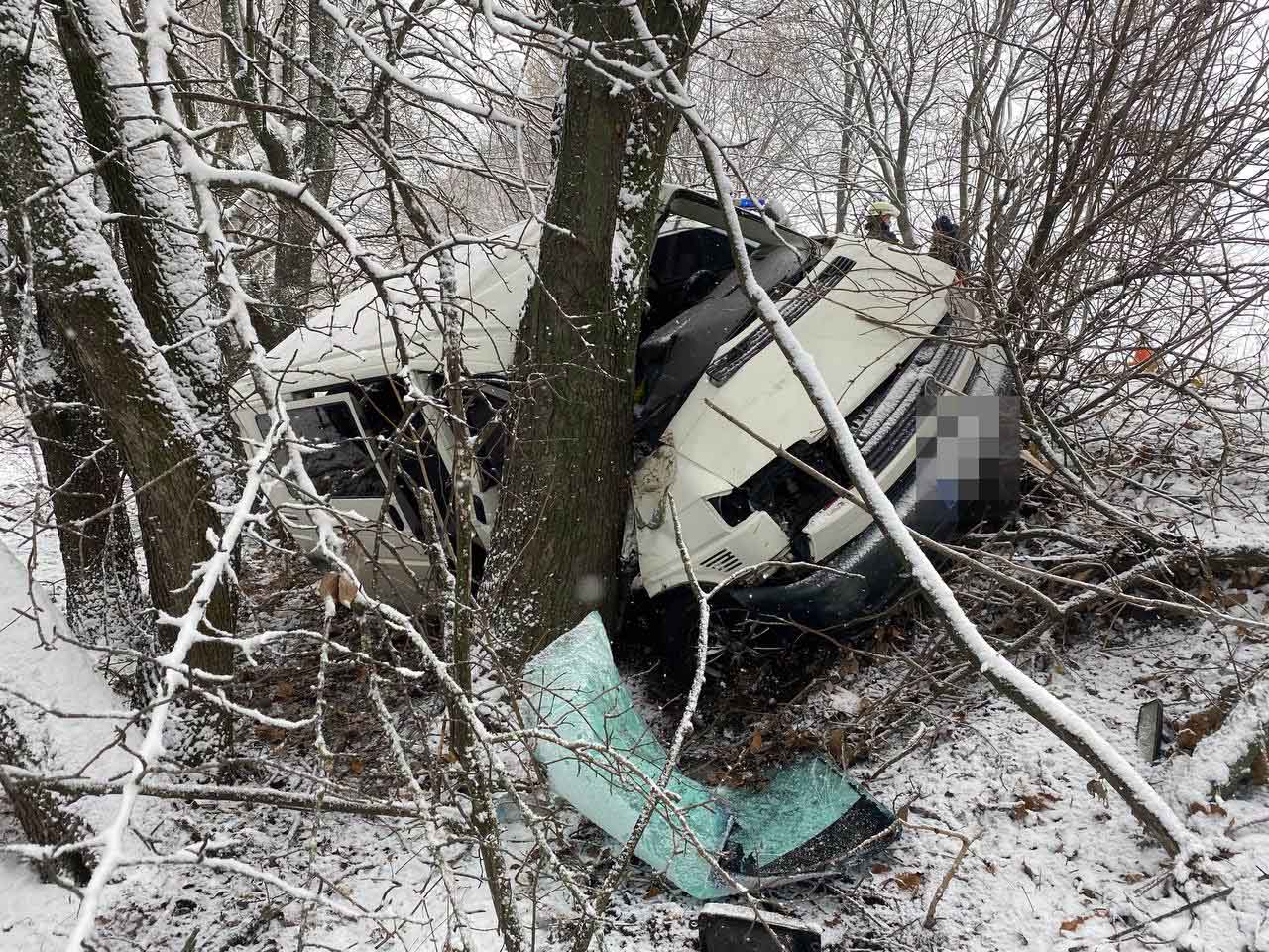 На Переяславщині автомобіль врізався в дерево: постраждалих юнаків деблокували рятувальники (фото та відео)