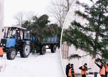 Не за бюджетні кошти: хто подарував Переяславу головну різдвяно-новорічну ялинку