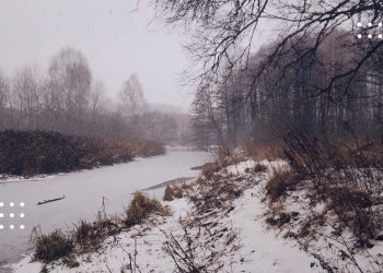 До 13 градусів морозу, невеликий нічний сніг та ожеледиця: погодні умови на Київщині 12 січня