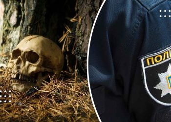 У лісі на Переяславщині знайшли скелет людини – дайджест поліції