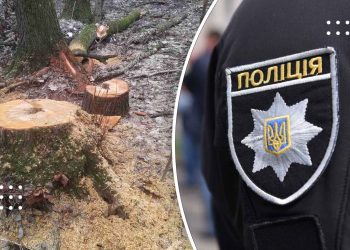 Переяславській поліції повідомили про незаконну вирубку дерев у парку загальнодержавного значення