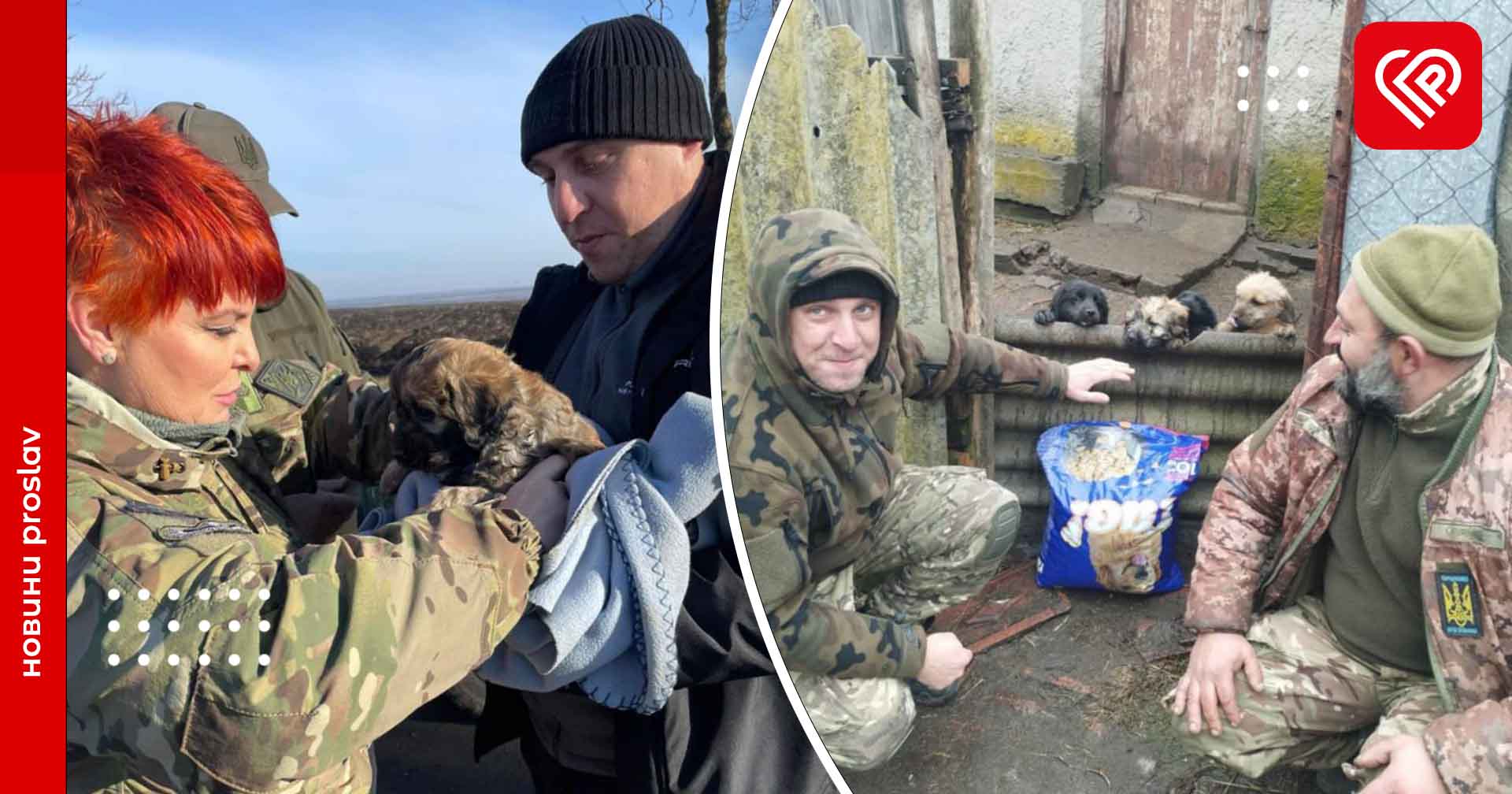 Військові годують покинутих тварин «на нулі», тому просять переяславських волонтерів привозити їм корм