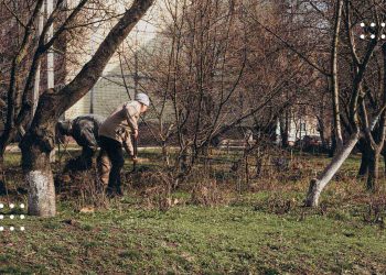 Метеорологи попереджають про мороз вночі по Київщині 27 березня: яку погоду очікувати вдень