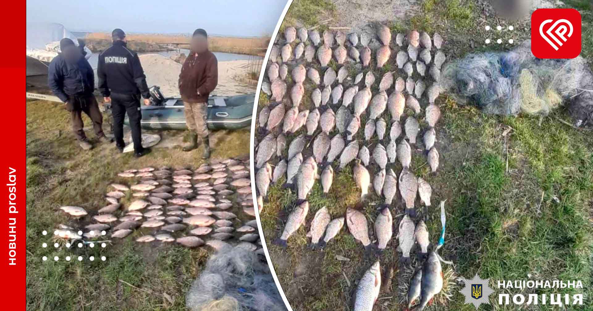 На Переяславщині затримали двох браконьєрів, які виловлювали рибу сітками