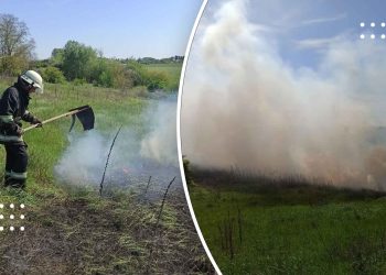 У Переяславі знову горіла суха трава: в ДСНС нагадують про штрафи