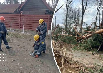 На Київщині завершили роботи з відновлення ліній електропередачі – ДТЕК