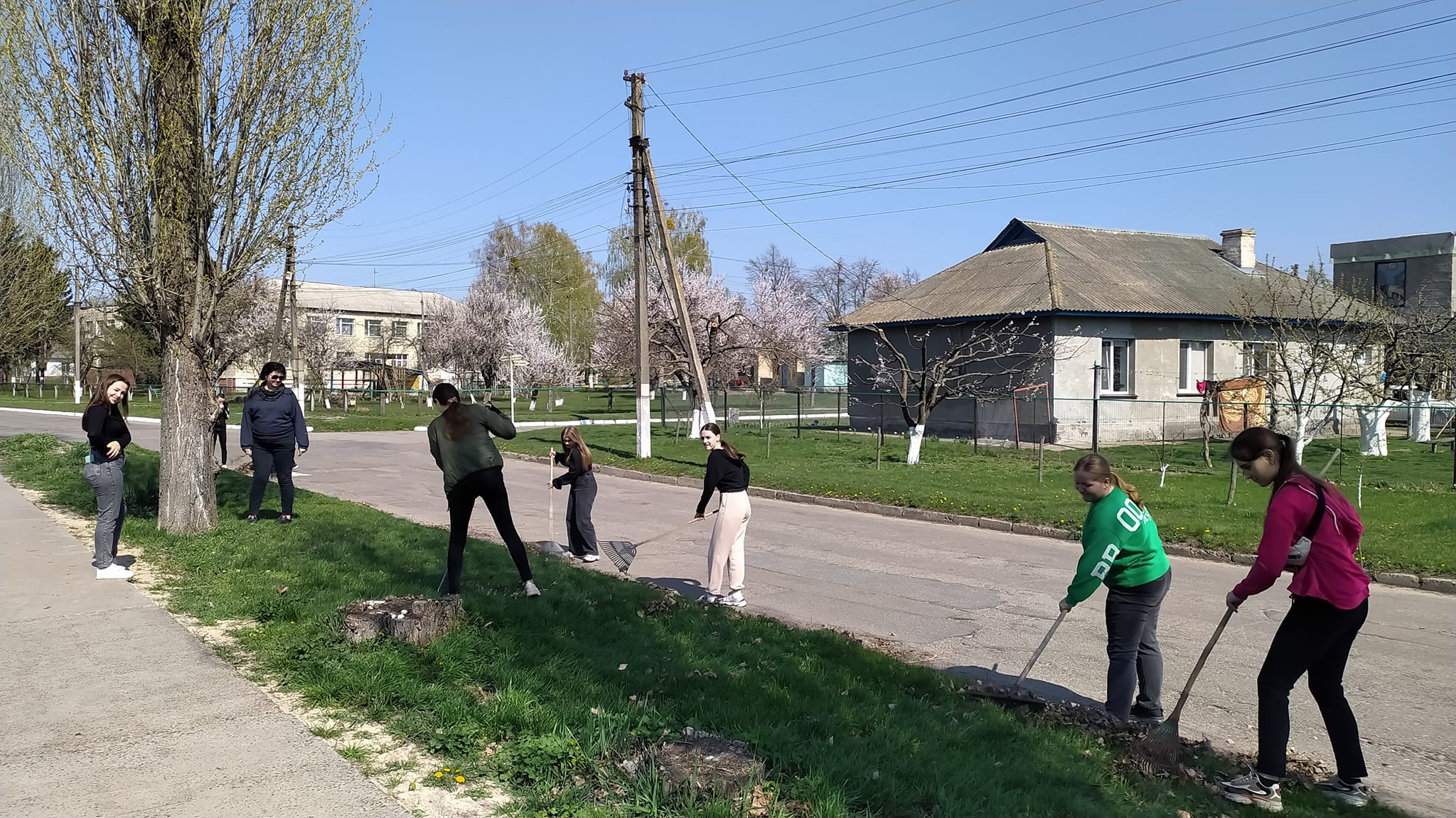 Велика весняна толока на Переяславщині: жителі облагороджують свої громади та діляться фото