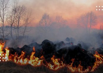Синоптики попередили мешканців Київщини про пожежну небезпеку 11-12 квітня